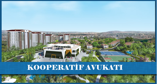 Kooperatif Avukatı