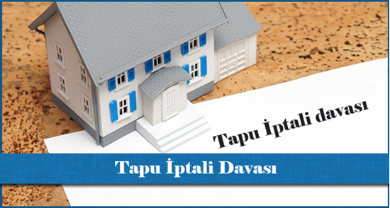 Tapu İptali Davası