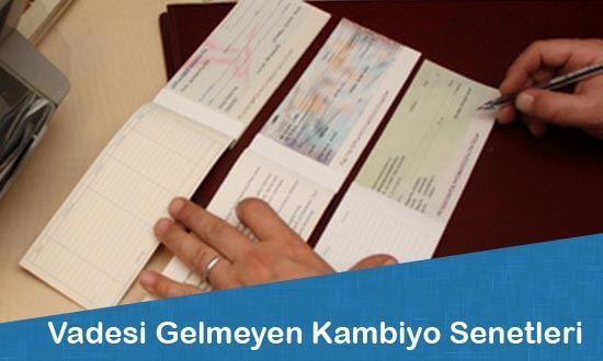 Vadesi Gelmeyen Kambiyo Senetleri Hakkında İhtiyati Haciz