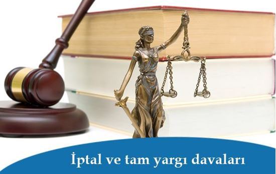 İptal ve tam yargı davaları